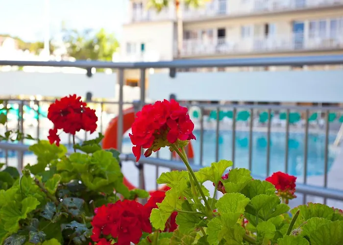 Ecuador Park Apartmán